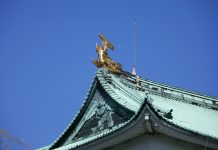 中京夏季特集 残暑に「もうひと押し」 有力飲料メーカーに聞く 中京飲料メーカー夏期商品