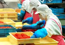 異物混入対策 リスク高い潜在的異物 異物混入対策