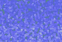 ノロウイルス予防対策 冬期は特に警戒を 活用すべき対応機材 ノロウイルス 予防対策