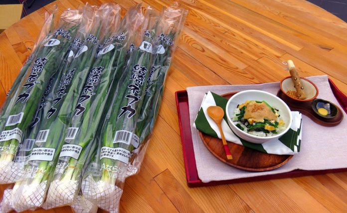 結崎ネブカ丼 奈良県川西町