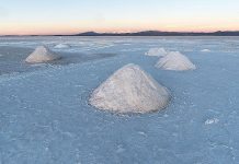 業務用塩 日本の食品産業支える「塩」 国内塩93万tへ回復傾向 業務用塩-日本の食品産業支える「塩」