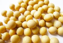 新春大豆加工食品 生産・消費とも史上最高へ 16~17年度の世界大豆需給 16~17年度大豆生産量 大豆市況