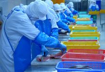 衛生管理対策 求められる日常管理の徹底 食品衛生管理対策 HACCP義務化