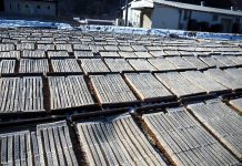 茅野の角寒天 厳冬期の風物詩 風土生かした伝統製法守る