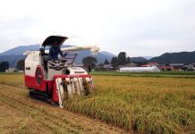 米菓 アジア共通“コメ”のお菓子 自然、風土と融合、繊細の極致 米菓 新潟県中蒲原郡の稲刈り風景