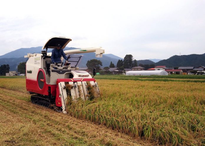 米菓 新潟県中蒲原郡の稲刈り風景