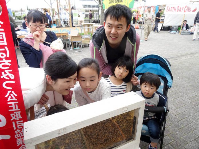 ミツバチの生態や採蜜の方法を丁寧に説明（アースデイ東京　２０１７）