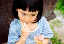 アイス市場 16年度4千900億円 NBが牽引、250億円増 アイスクリーム 2016市況