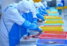 食中毒防止対策 重要な日常管理の徹底 過信・油断が大きなリスクに HACCPにも対応 食中毒防止対策