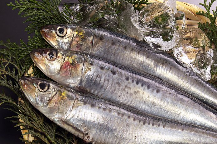 魚離れ対策