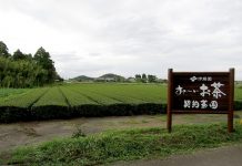 飲料TODAY 茶産地育成事業 伊藤園 茶産地育成事業 堀口園