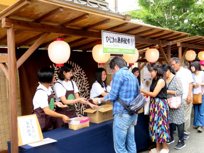 ひじきのサンプリング（ひじき祭り）