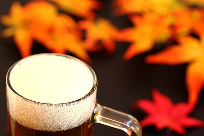 ビール類 2017市況