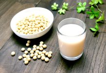 豆乳 新機軸商品で活性化 乳酸菌入りで高付加価値にも挑戦 豆乳市場 市況 2016-2017