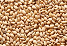 ごま市場、今年は堅調推移 ねりごまなど伸長 2017 ごま市場