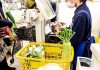 消費税軽減税率問題 日本加工食品卸協会