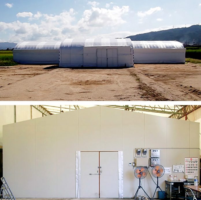 上：室外栽培棟、下：室内栽培棟での試験を経て本格生産にこぎつけた（ベストプラネット）