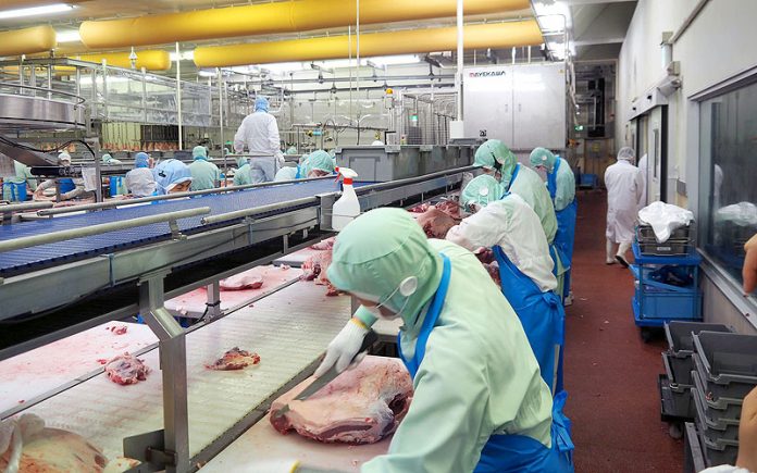 食品安全 ＧＦＳＩ 世界食品安全イニシアチブ