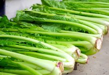 野沢菜漬 未曽有の原料危機に 正念場を迎えるメーカー 野沢菜漬 台風 原料被害