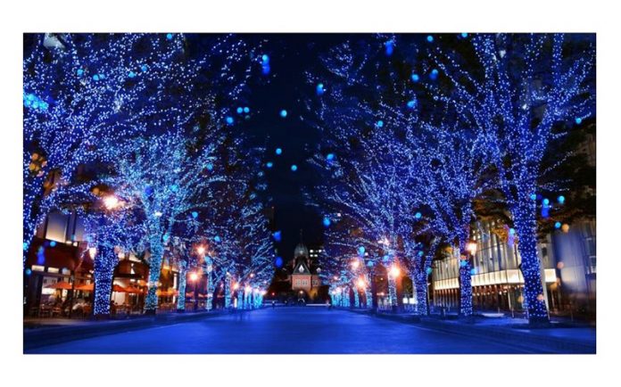 「青の洞窟　ＳＡＰＰＯＲＯ」