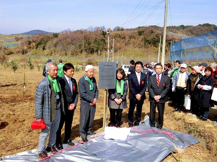 「神戸オリーブ園」の復活を祈念したモニュメントを進呈した（Ｊ―オイルミルズ）