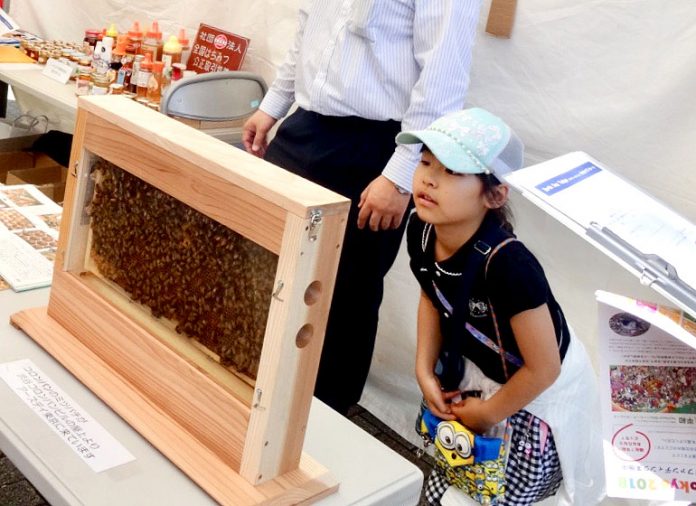 アースデーでは親子連れが目立った（全国はちみつ公正取引協議会青年部）