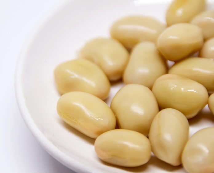 フジッコ 大豆ファースト 蒸し大豆 食後血糖値上昇抑制