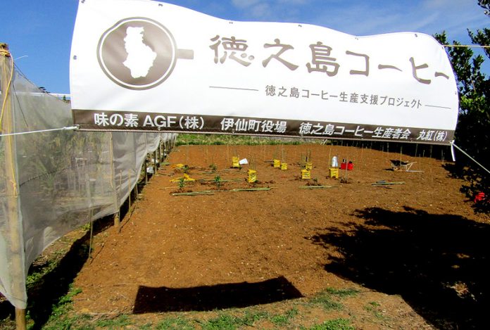 写真①（AGF実証農場）