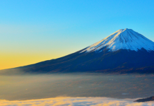 特集:2019 新年特集号 2019 新年特集号(食品新聞社)