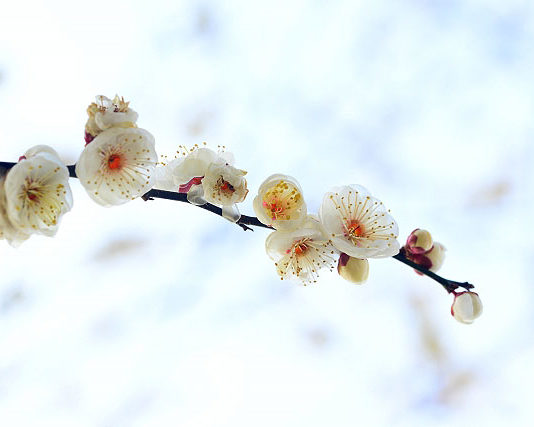 平成から令和へ