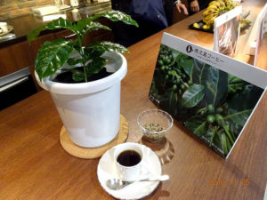 徳之島コーヒー