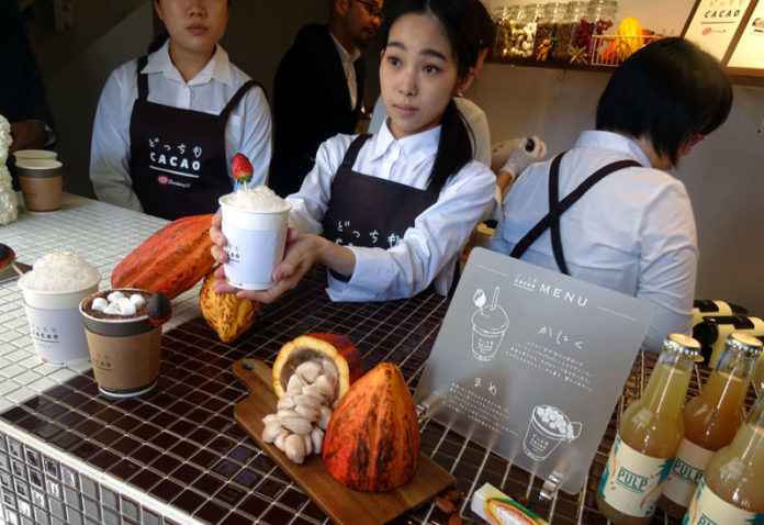 どっちもＣＡＣＡＯ ｂｙ キットカット ショコラトリー