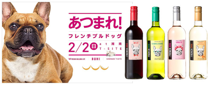 あつまれフレンチブルドッグ！＠湘南T-SITE 三井食品