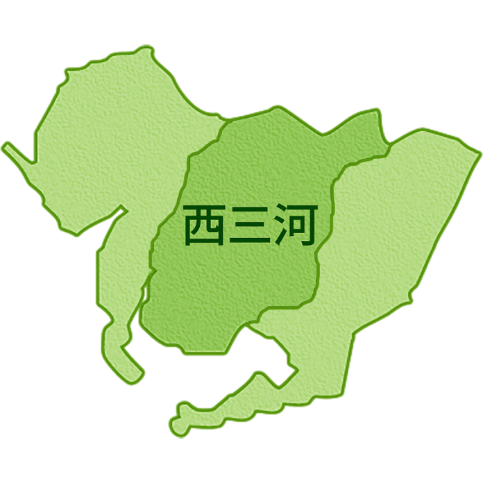 愛知県 西三河 食品スーパー