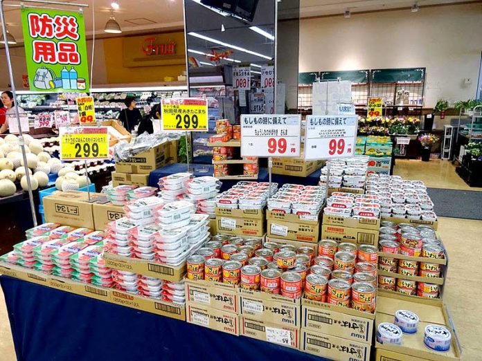 芥川龍之介 関東大震災 備蓄食