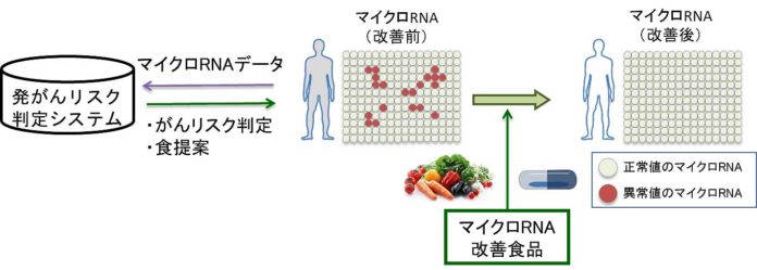 キユーピー マイクロRNA 人と共に進化する次世代人工知能に関する技術開発事業