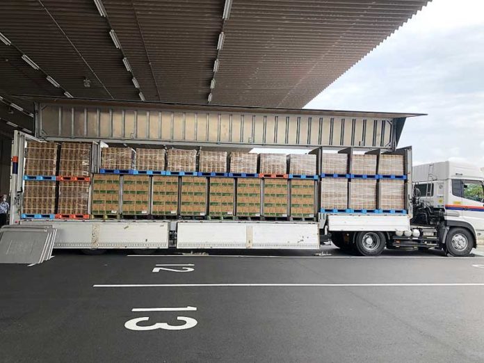 混載テストの様子（アサヒ飲料 日清食品 日本通運 共同輸送）