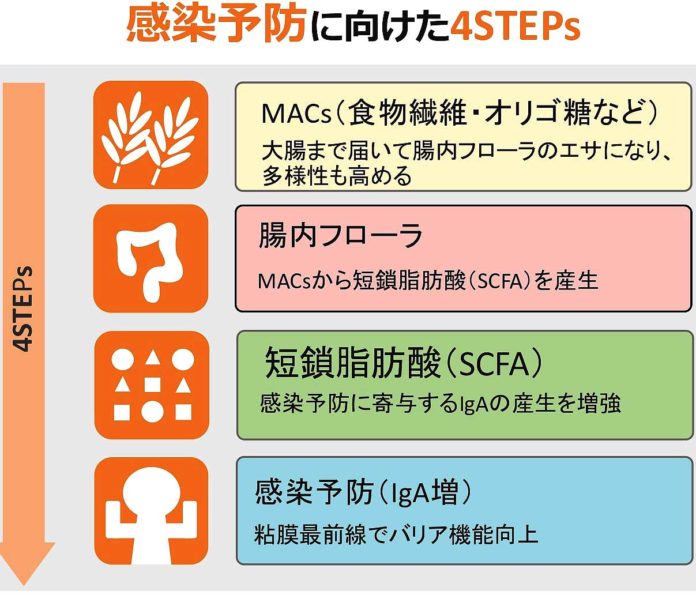 感染予防の4ステップ　©2020Matabologenomics,Inc.