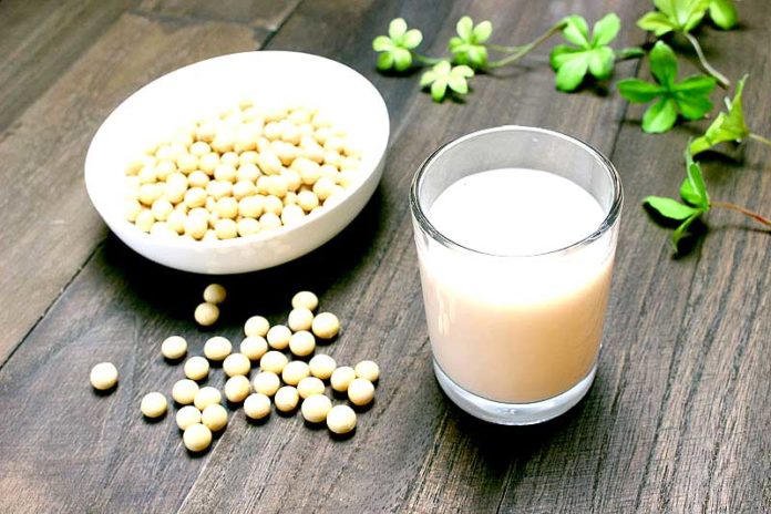 豆乳生産量 2020市況