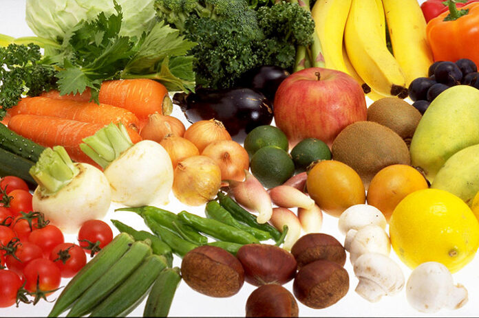 Plant Based Lifestyle Lab 植物性食品