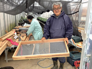 乾燥用の網を持つ泉副会長（20年撮影）（徳之島コーヒー生産者会）