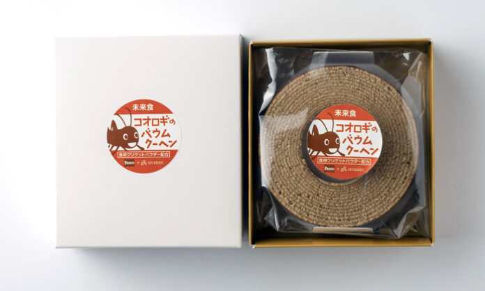 コオロギのバウムクーヘン 昆虫食