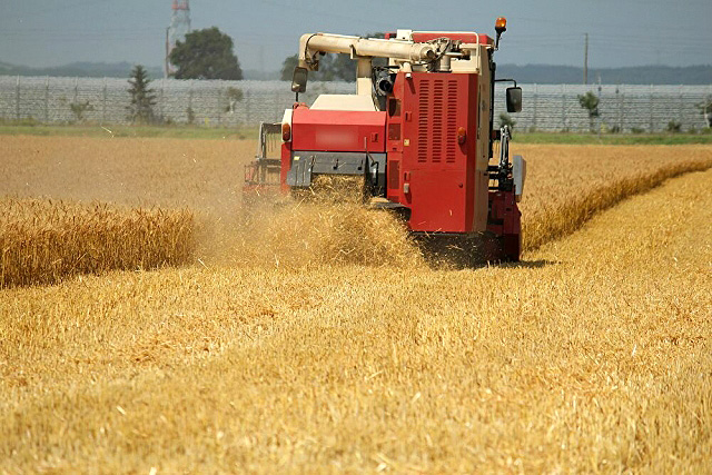 輸入小麦 価格19％引き上げ 中国需要増大と作柄悪化で北米産高騰