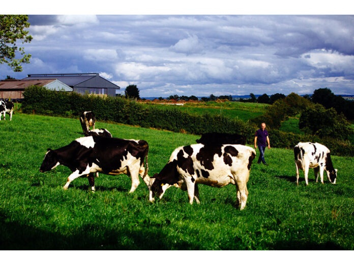 「オリジングリーン」 持続可能な食品生産支えるアイルランドの国家プログラム