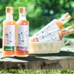「地場産野菜のドレッシングセット」