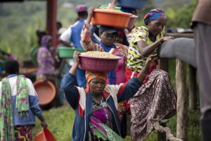 洗浄した生豆を運ぶルワンダの生産者