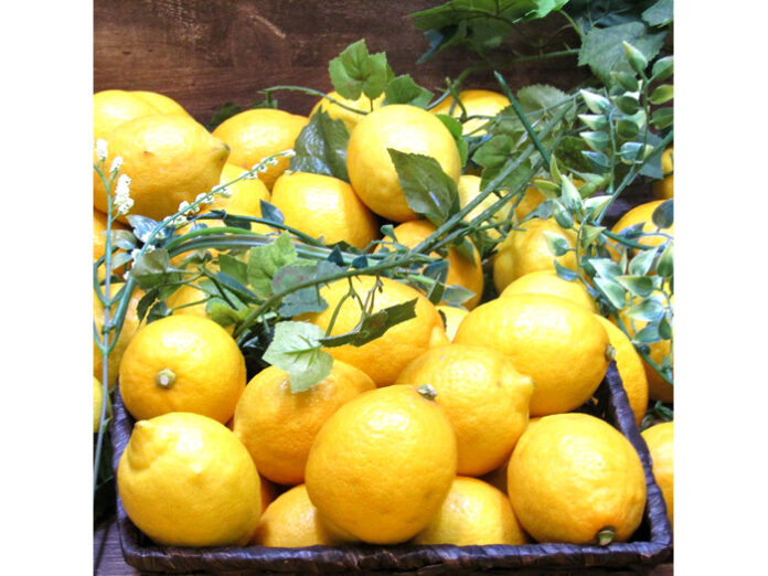 レモンの疲労回復・カルシウム吸収促進・減塩を訴求（ポッカレモン100）