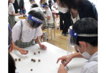 マカダミアなど豪産ナッツで食育授業 児童らが殻割り体験 マカダミアナッツの殻割り体験をする小学生(学校法人国本学園 国本小学校)