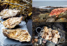 貴重な海面養殖資源の保護に全力 アイルランド産貝類・甲殻類 高まる世界の需要に応える【PR】 貴重な海面養殖資源の保護に全力 アイルランド産貝類・甲殻類 高まる世界の需要に応える