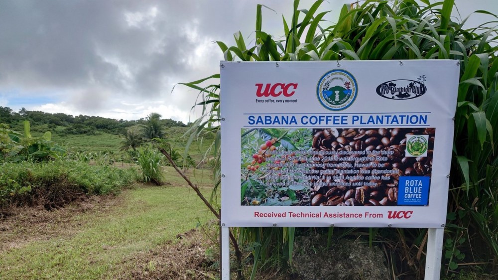 サンゴ礁の森に自生するコーヒーで捲土重来 経済どん底のロタ島がコーヒー6次産業化に全力 UCCとトライアスロンクラブが支援